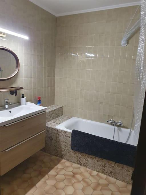 Appartement F3 Meuble Et Equipe Saint-Cyprien  Εξωτερικό φωτογραφία
